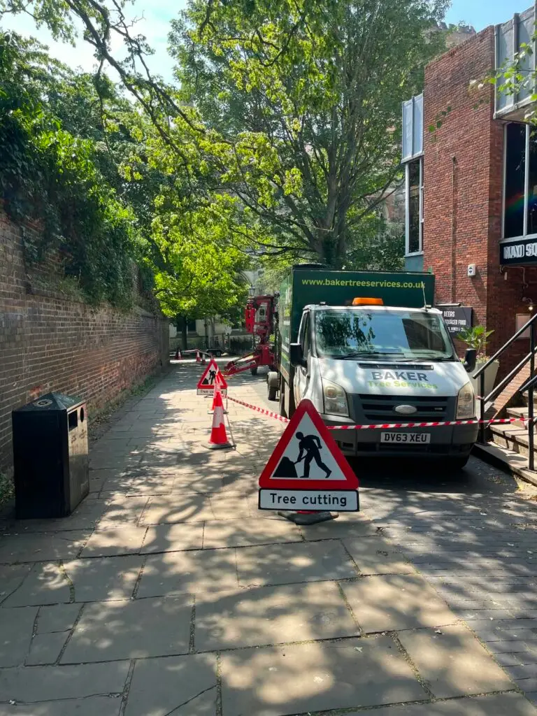 Baker Tree Services van and tree cutting signage managing pedestrian traffic in St Albans