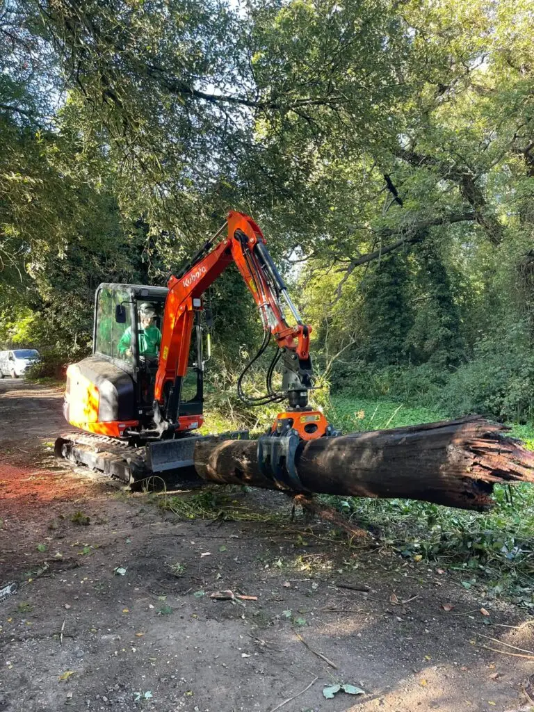 Digger and grapple clearing fallen trees from a waterway